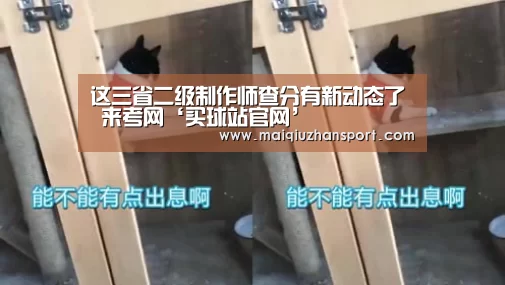 这三省二级制作师查分有新动态了 来考网‘买球站官网’(图1) 世界杯赛程