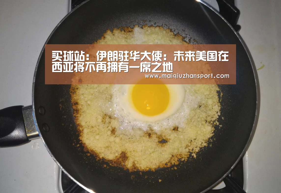 买球站:伊朗驻华大使:未来美国在西亚将不再拥有一席之地(图1) 买球站官网