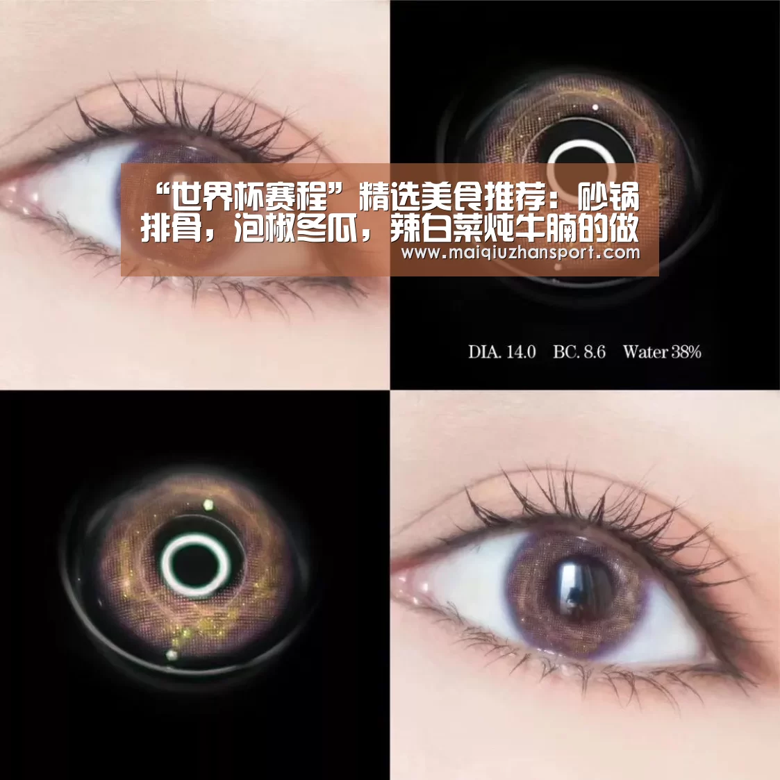 买球站官网